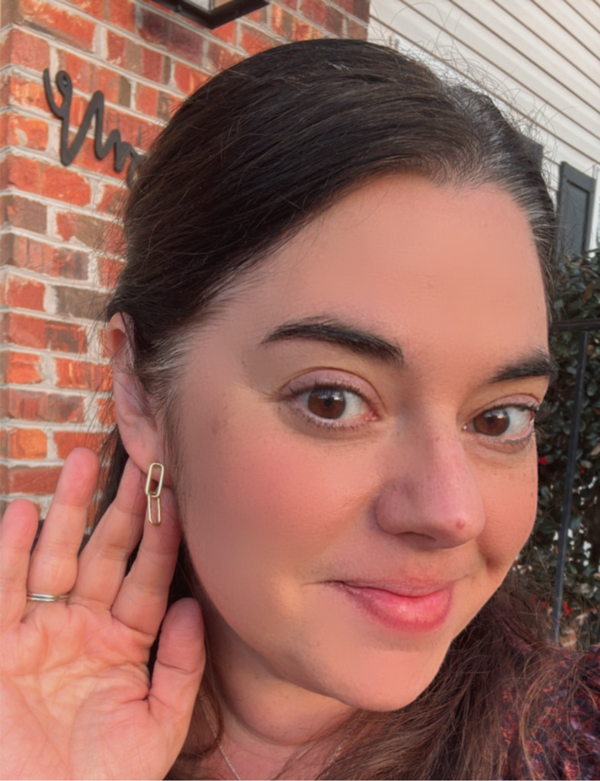 Gold Link Earrings