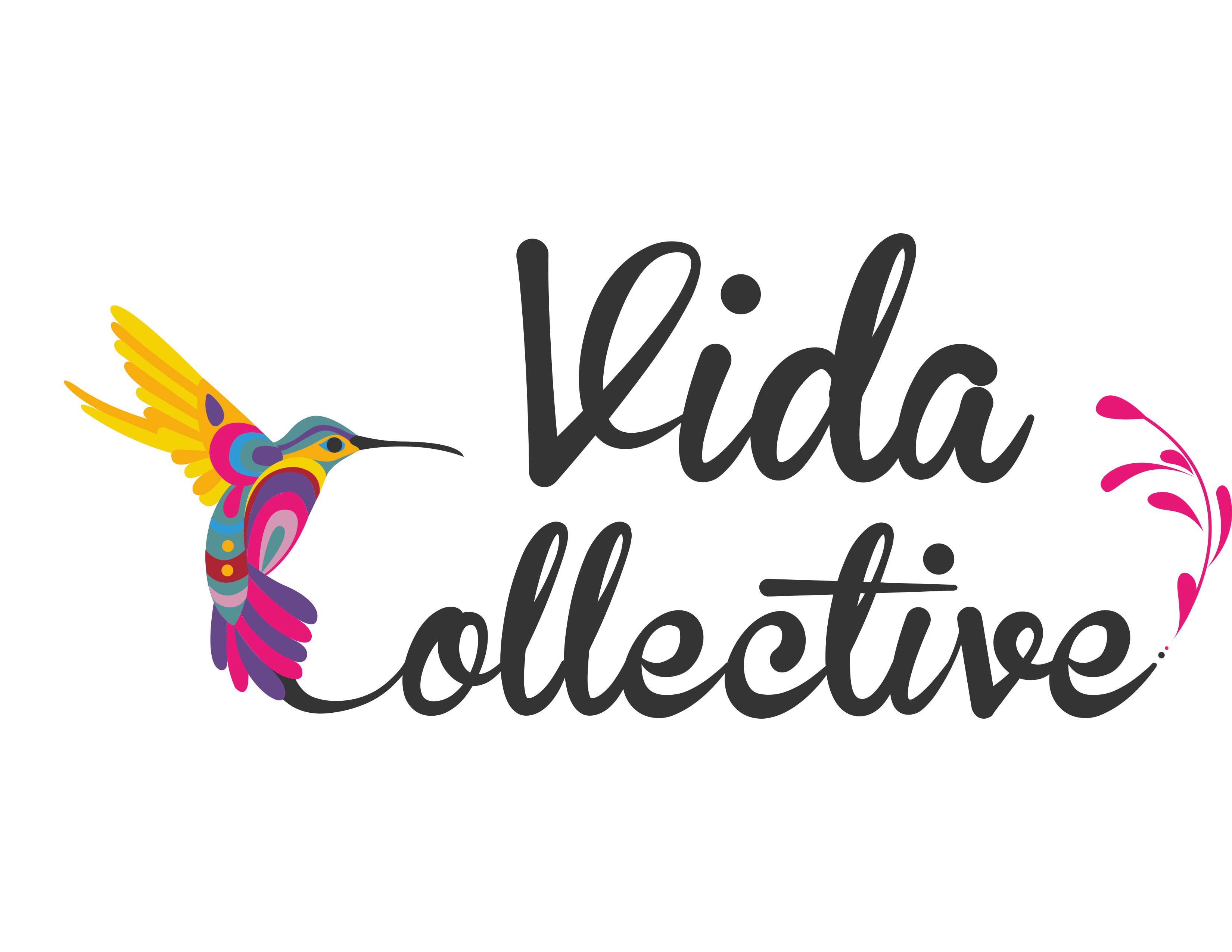 Vida Collective
