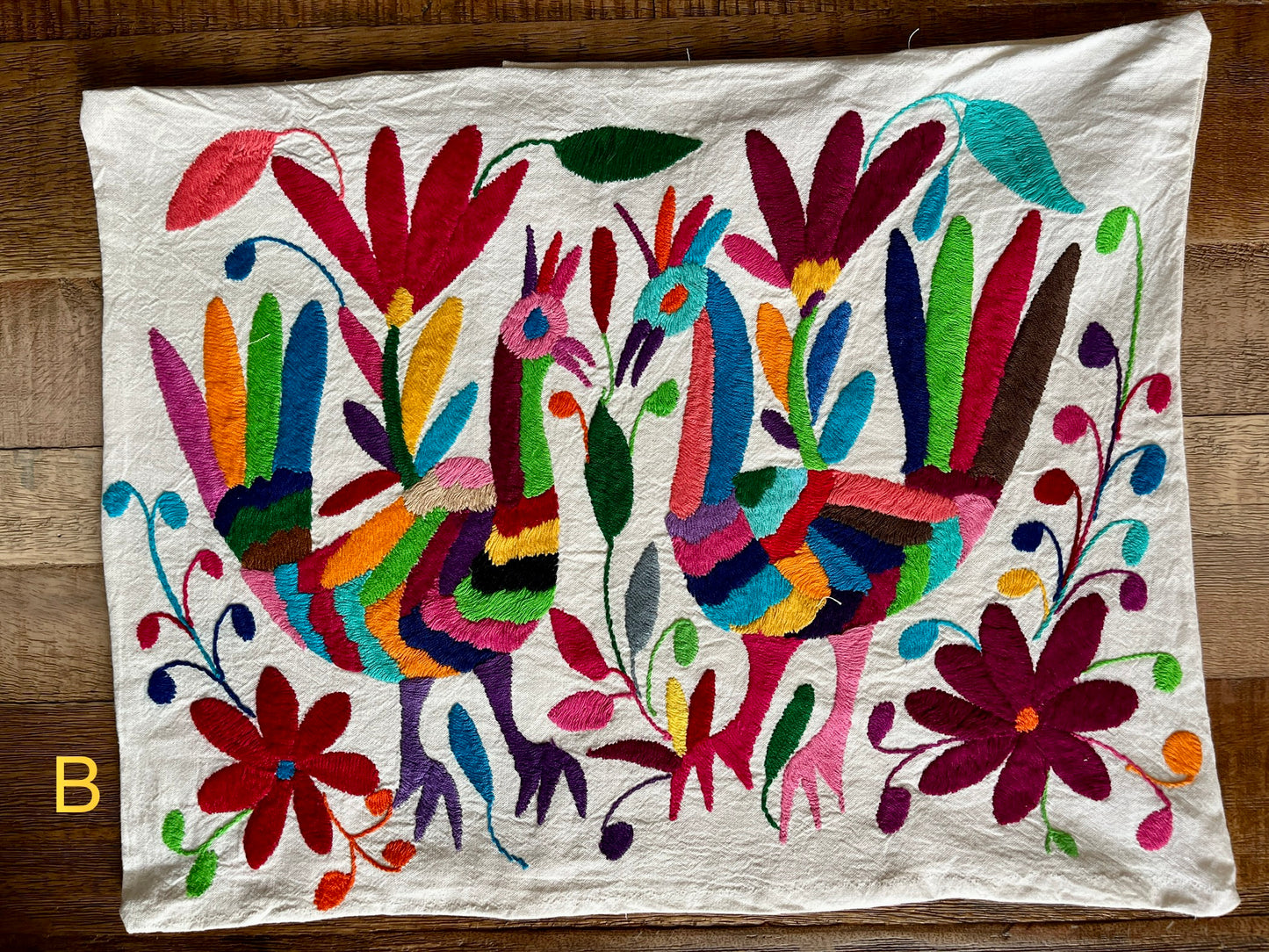 Otomí Multicolor Embroidered Pillow Covers