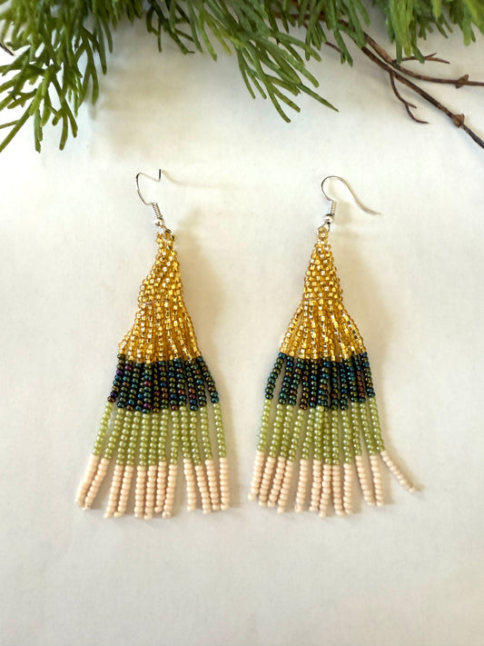 Pino Dorado Color block Earrings