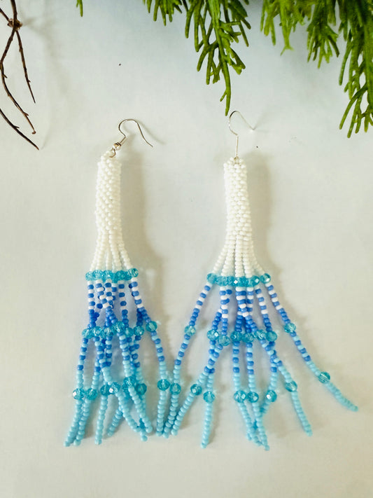 Polar Tassel Earrings